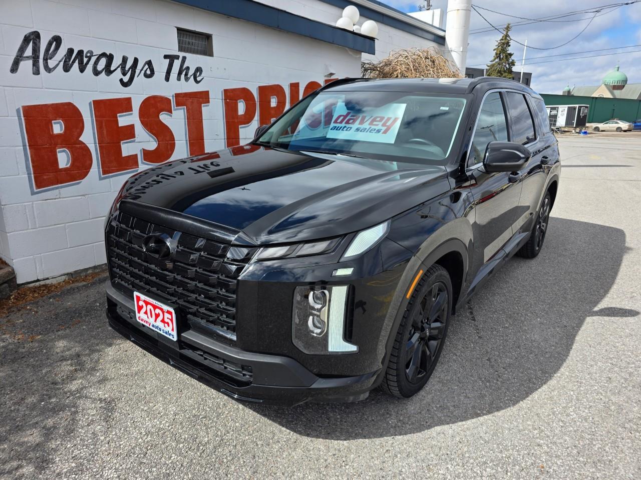 2025 Hyundai PALISADE Urban 7 Passenger 4dr All-Wheel Drive Photo