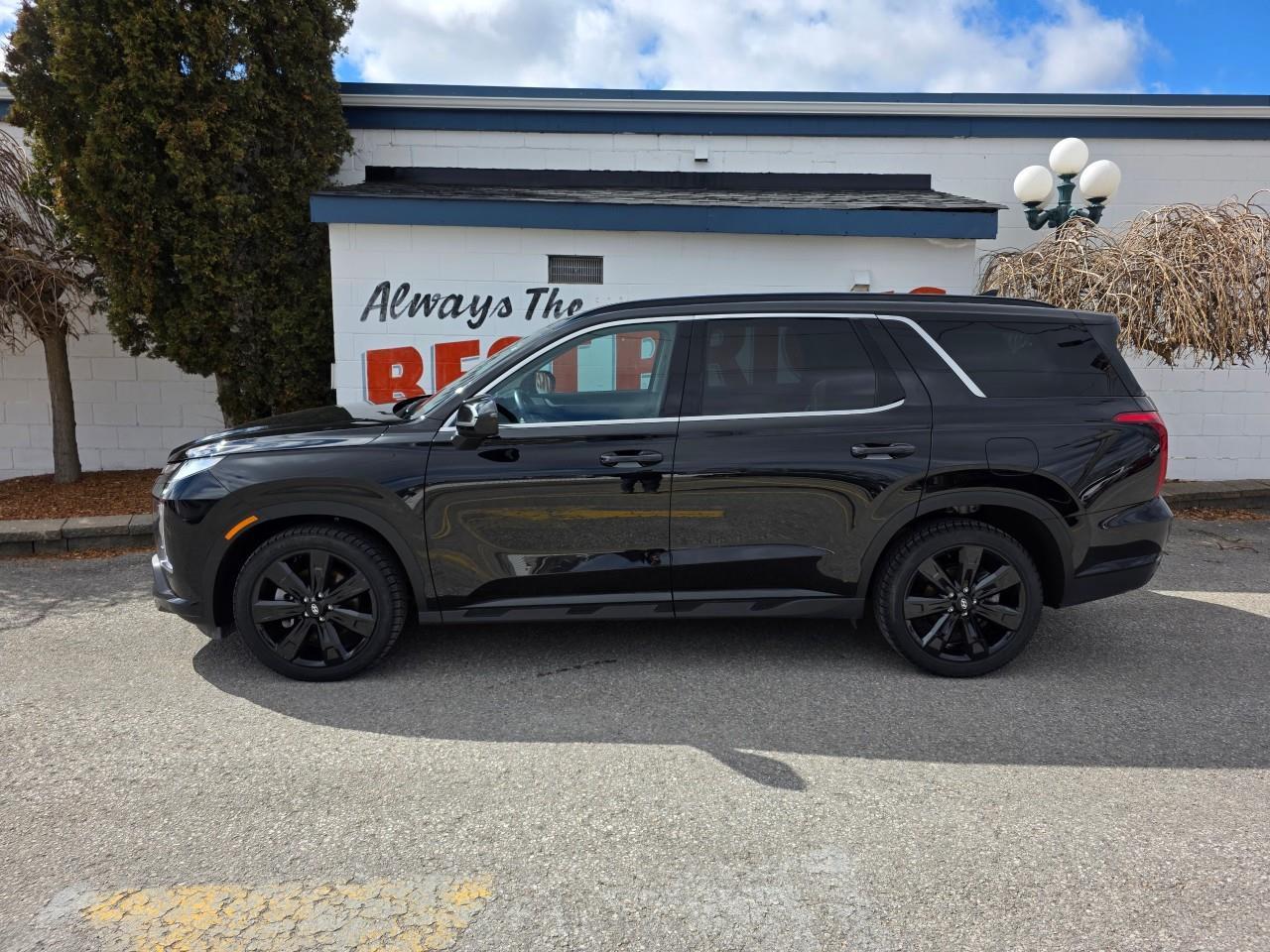 2025 Hyundai PALISADE Urban 7 Passenger 4dr All-Wheel Drive Photo