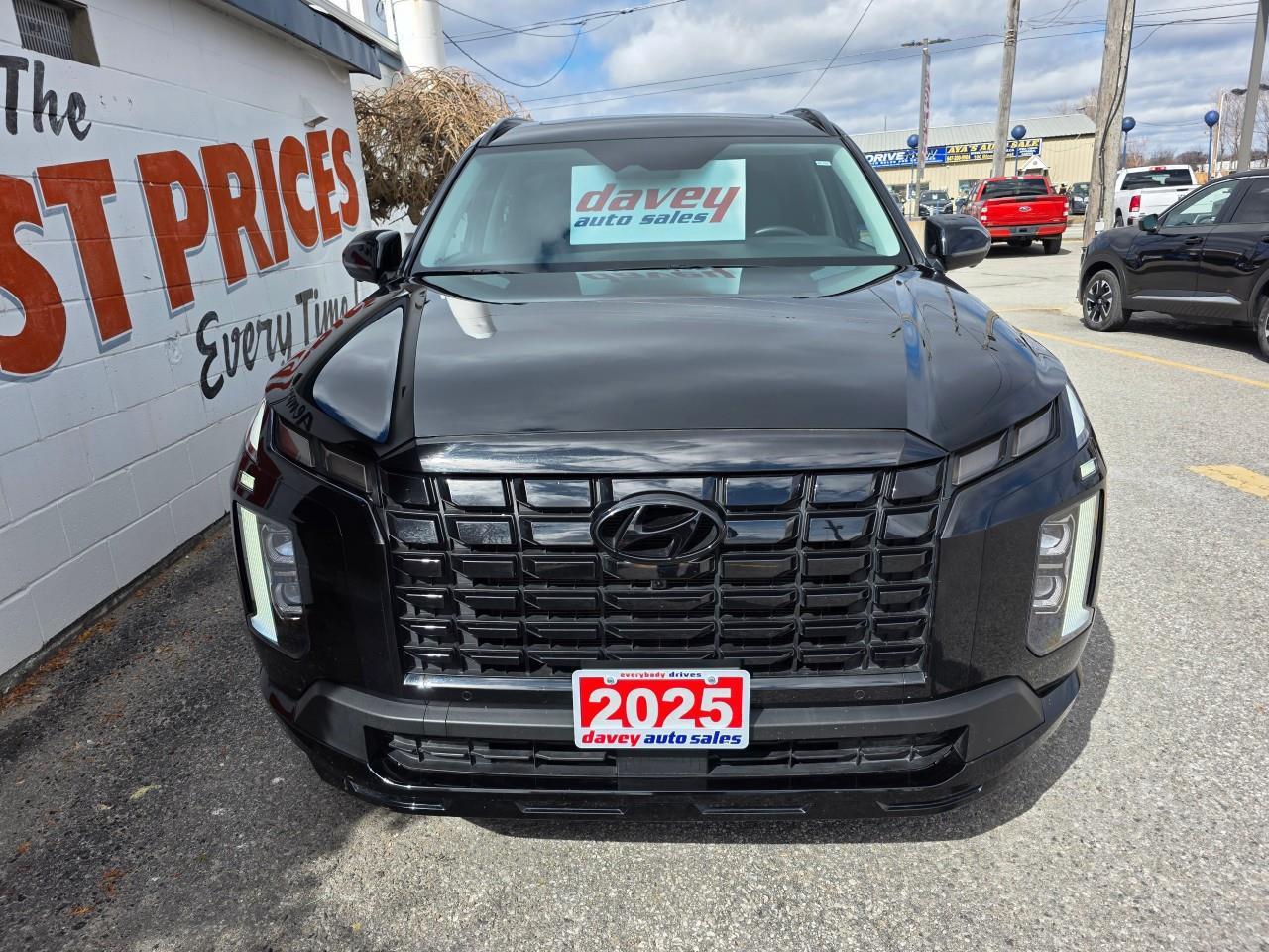 2025 Hyundai PALISADE Urban 7 Passenger 4dr All-Wheel Drive Photo