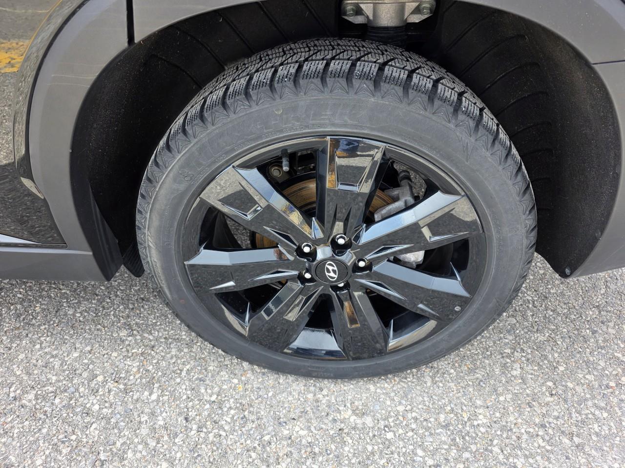 2025 Hyundai PALISADE Urban 7 Passenger 4dr All-Wheel Drive Photo