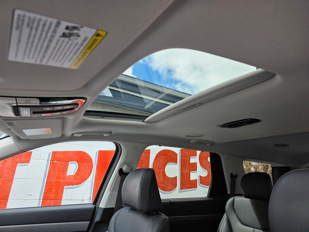 2025 Hyundai PALISADE Urban 7 Passenger 4dr All-Wheel Drive Photo