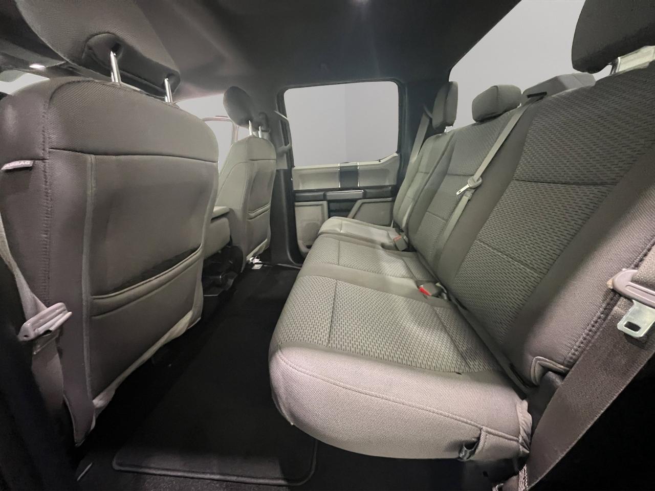 2019 Ford F-150 XLT | Reverse Cam Photo