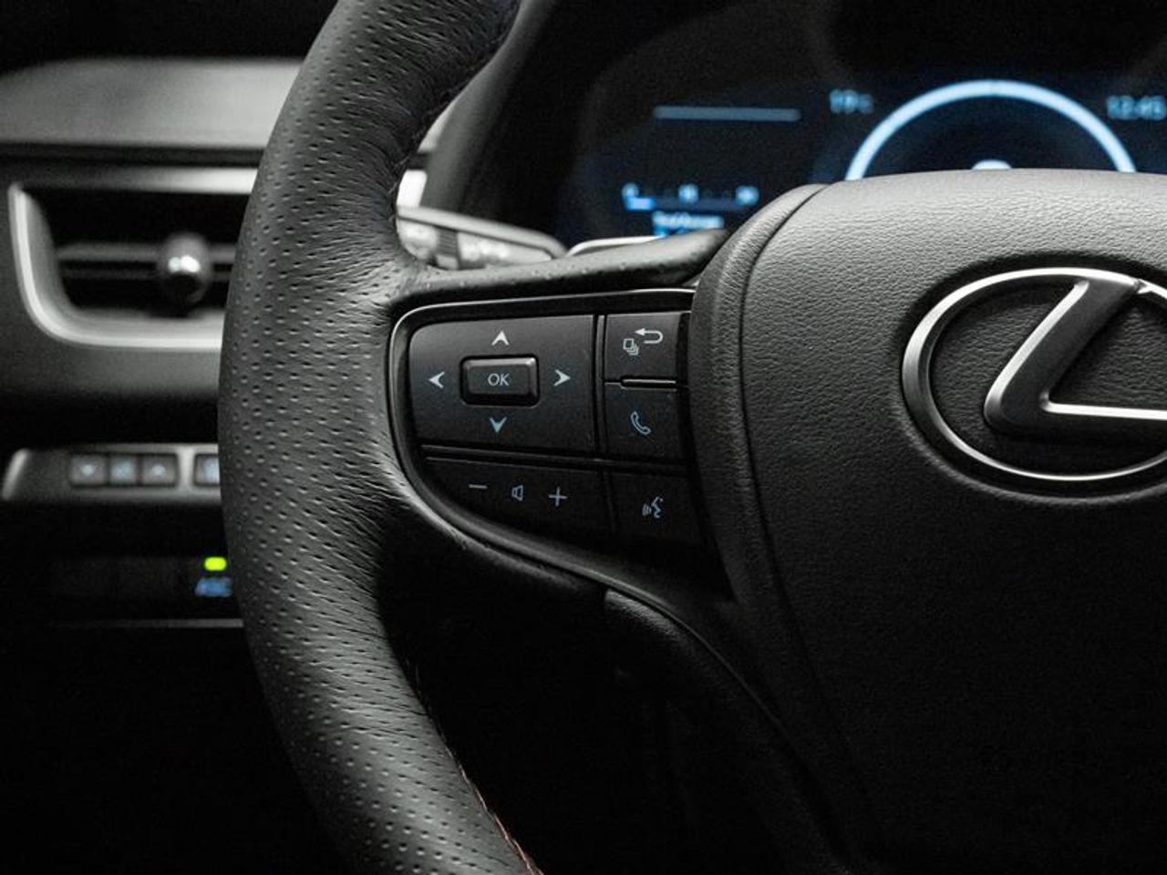 2025 Lexus UX 300H Base 4dr All-Wheel Drive Photo