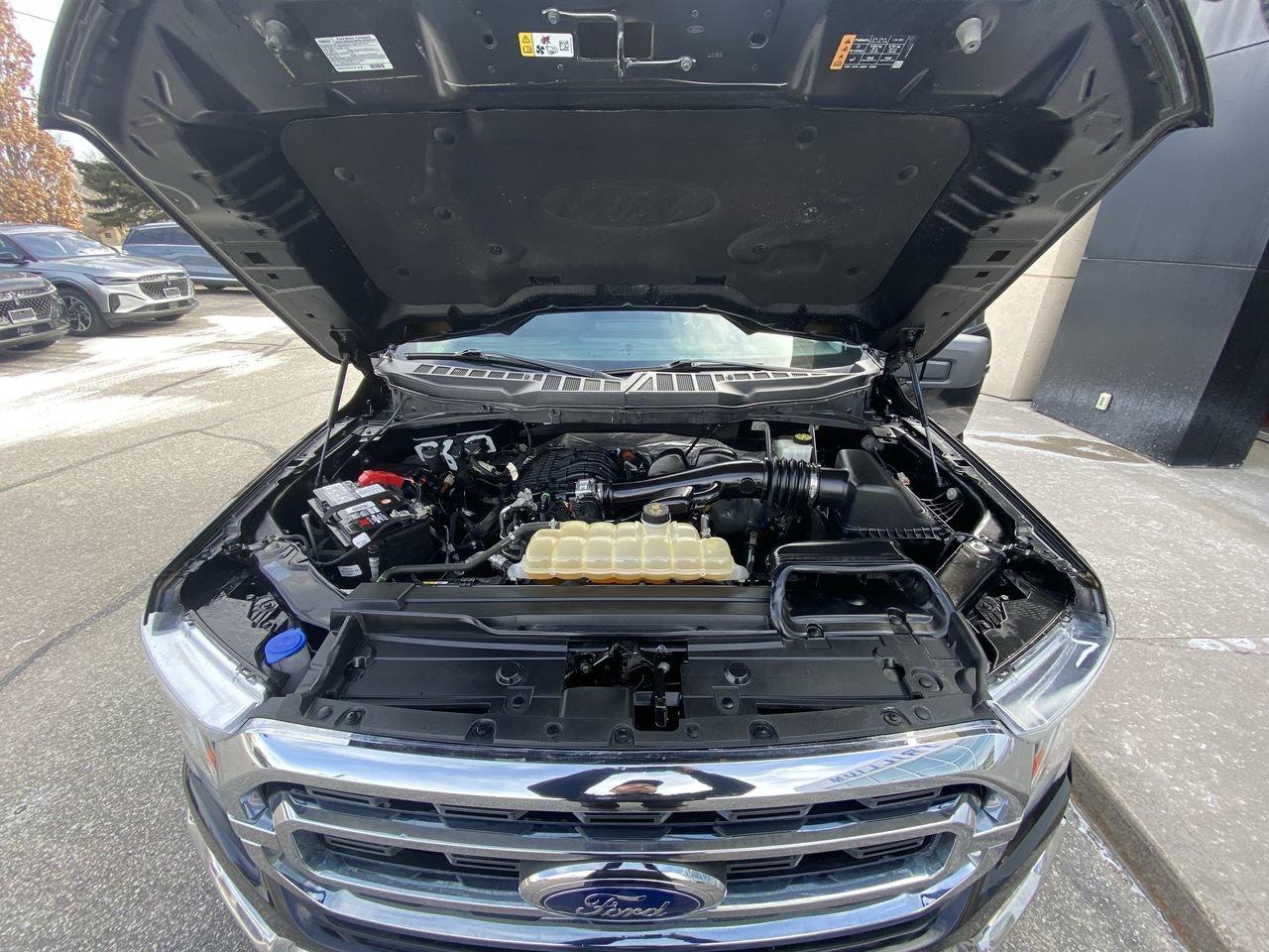 2021 Ford F-150 XLT Photo