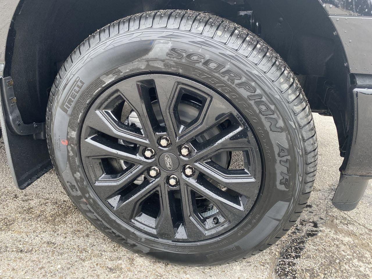 2026 Ford F-150 XLT Photo