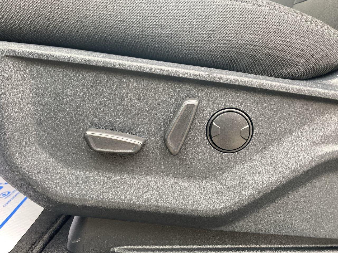 2026 Ford F-150 XLT Photo