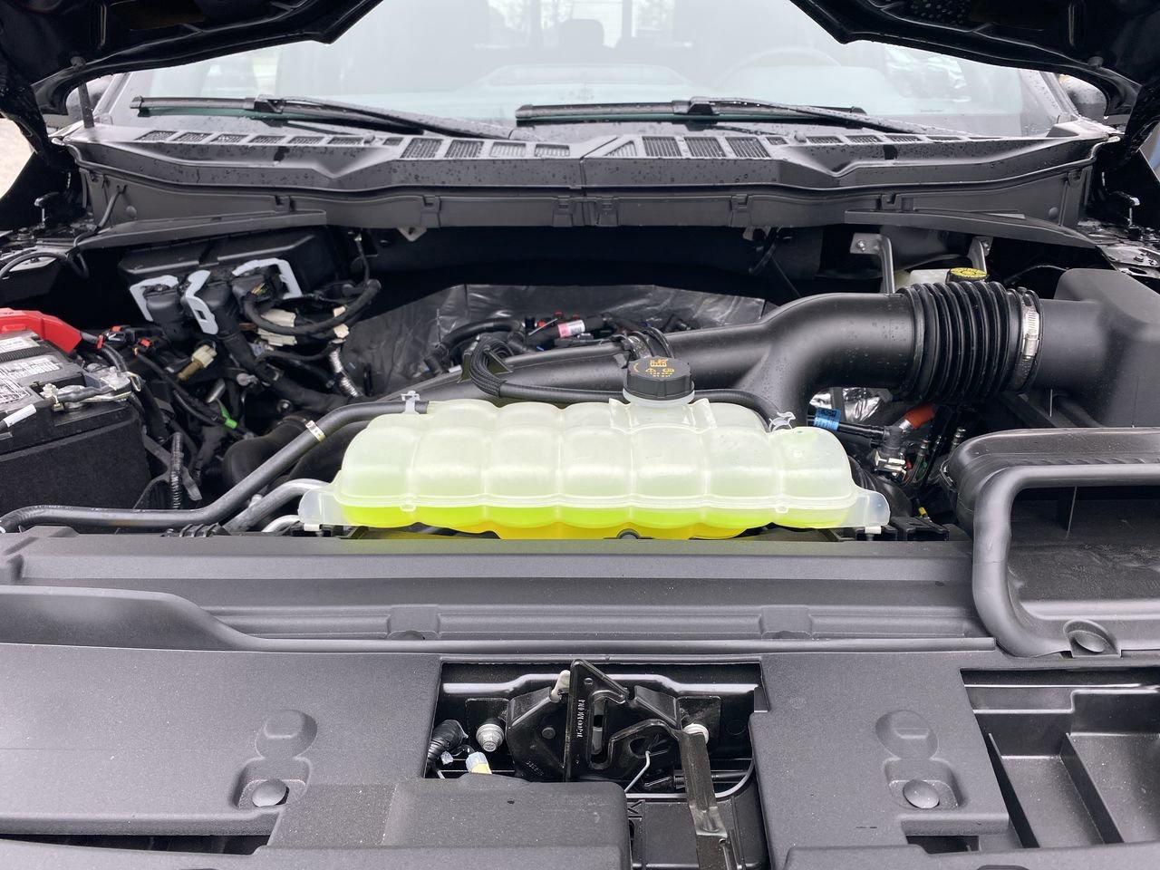 2026 Ford F-150 XLT Photo