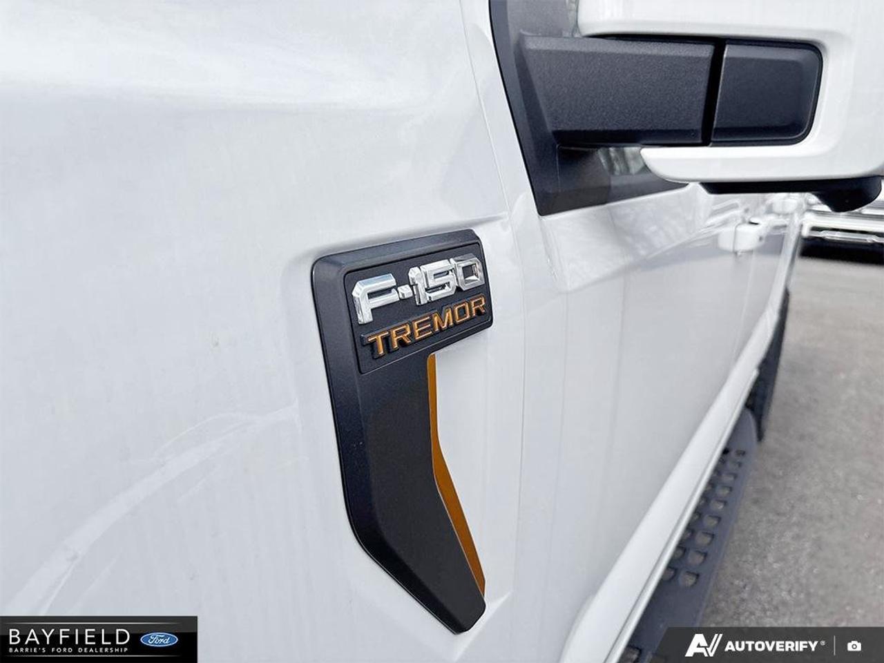 2026 Ford F-150 Tremor Photo