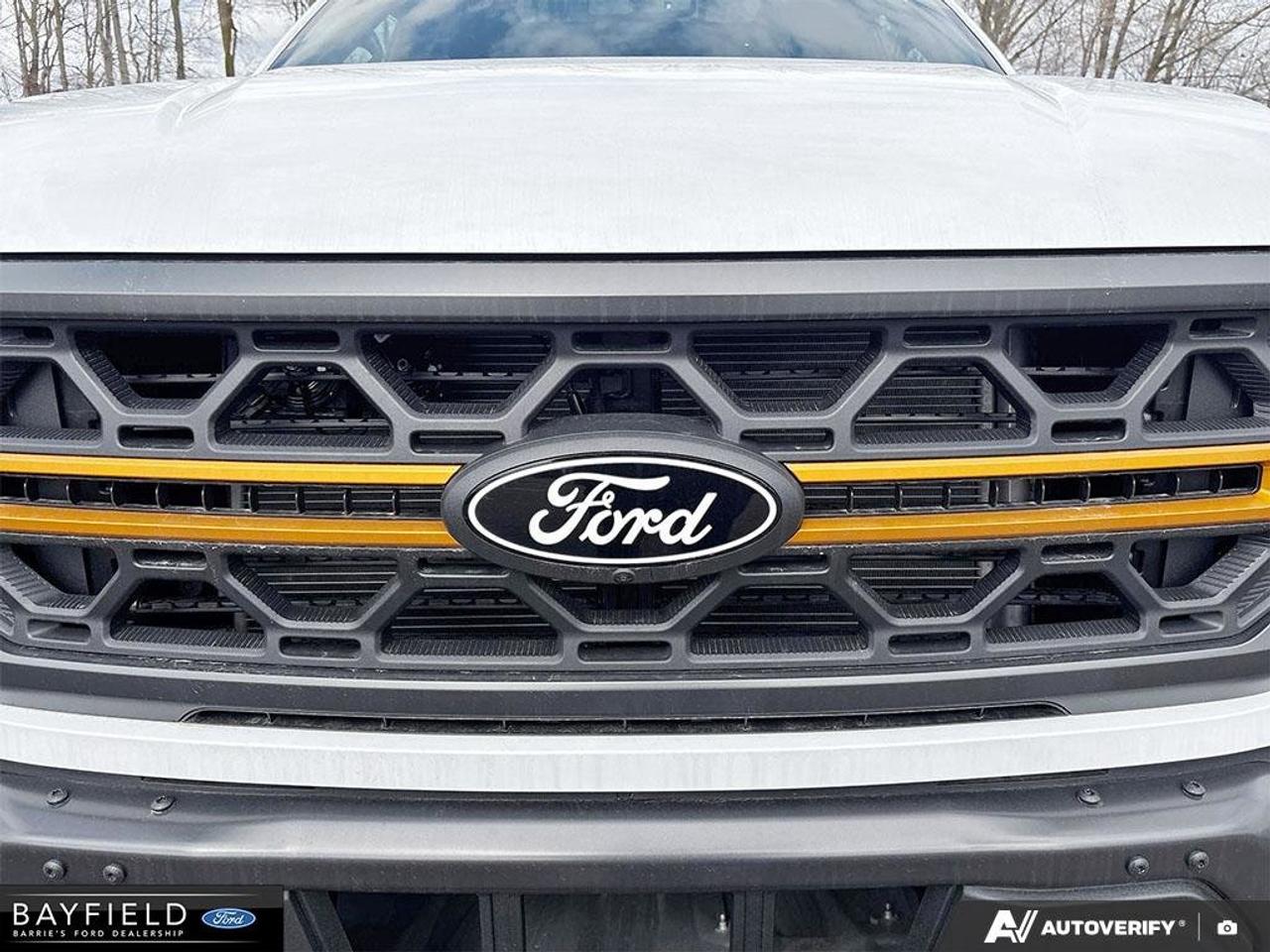 2026 Ford F-150 Tremor Photo
