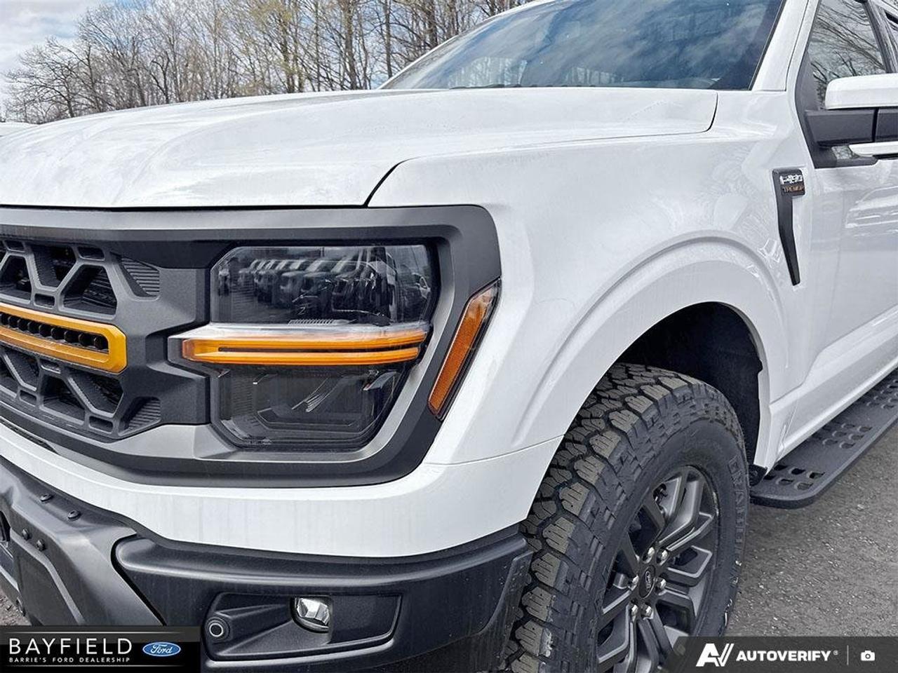 2026 Ford F-150 Tremor Photo