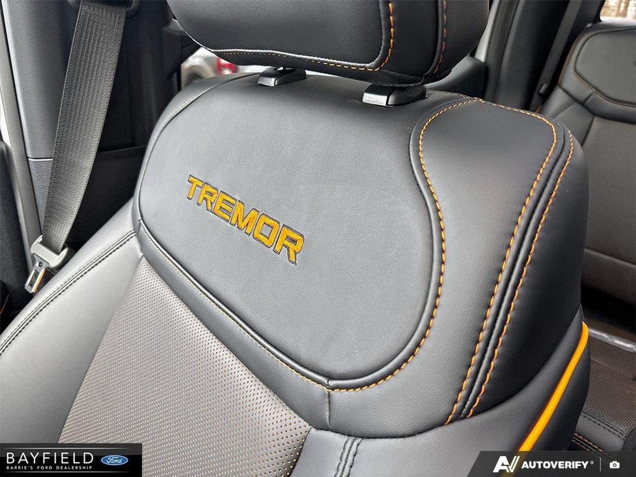2026 Ford F-150 Tremor Photo