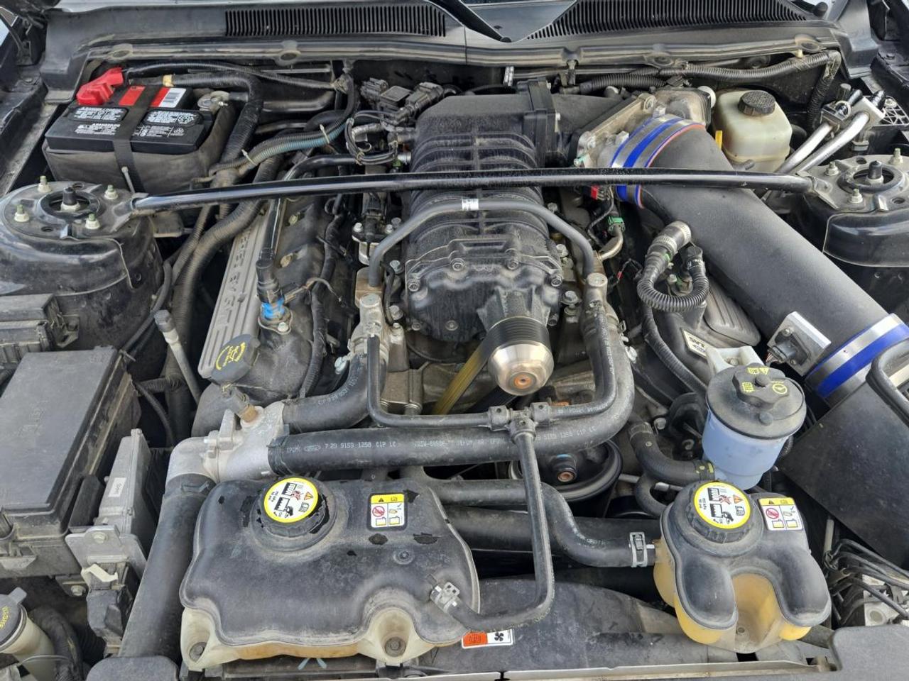 2008 Ford Mustang Shelby GT500 Shelby GT500 Photo