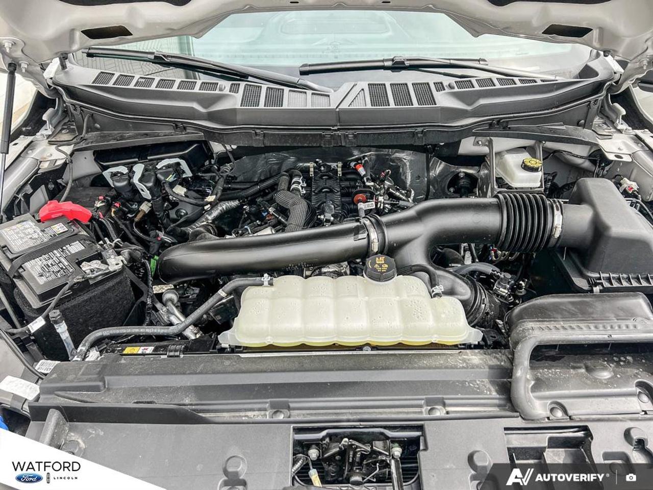 2026 Ford F-150 XLT Photo