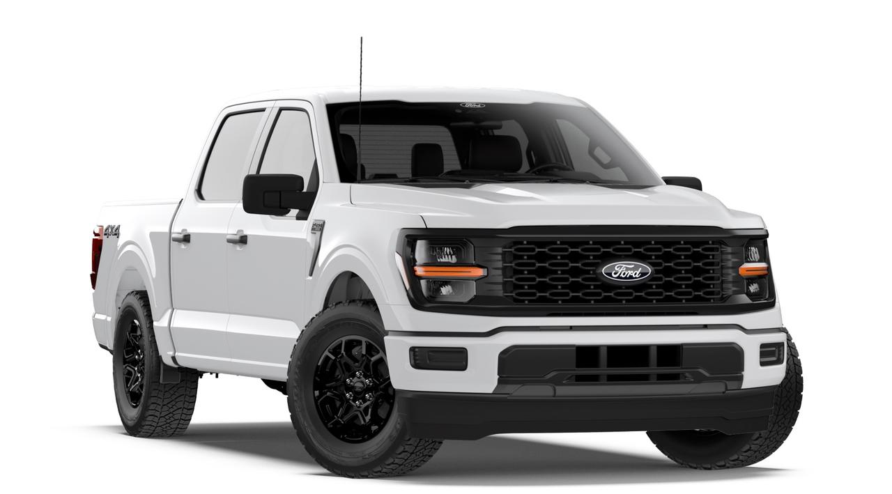 2026 Ford F-150 STX Photo