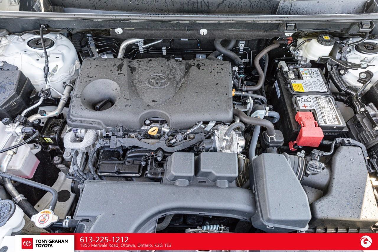 2024 Toyota RAV4 XLE Photo