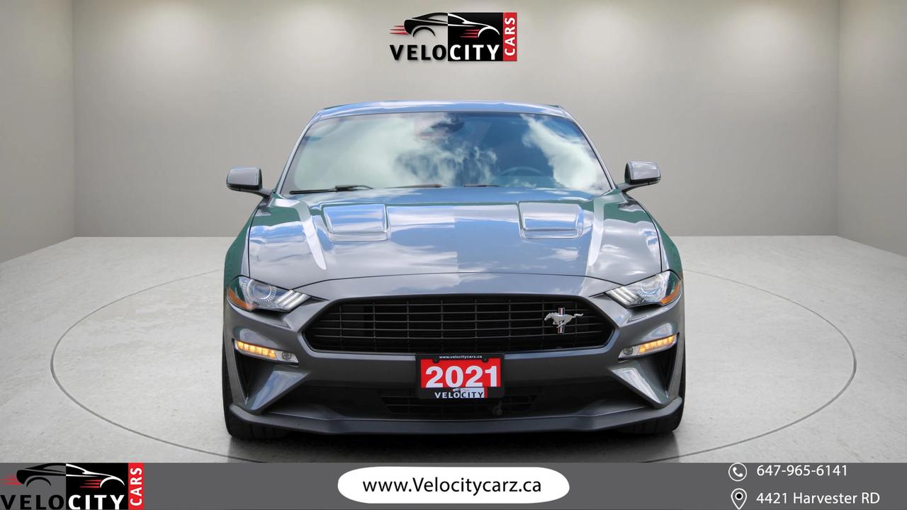 2021 Ford Mustang EcoBoost Photo