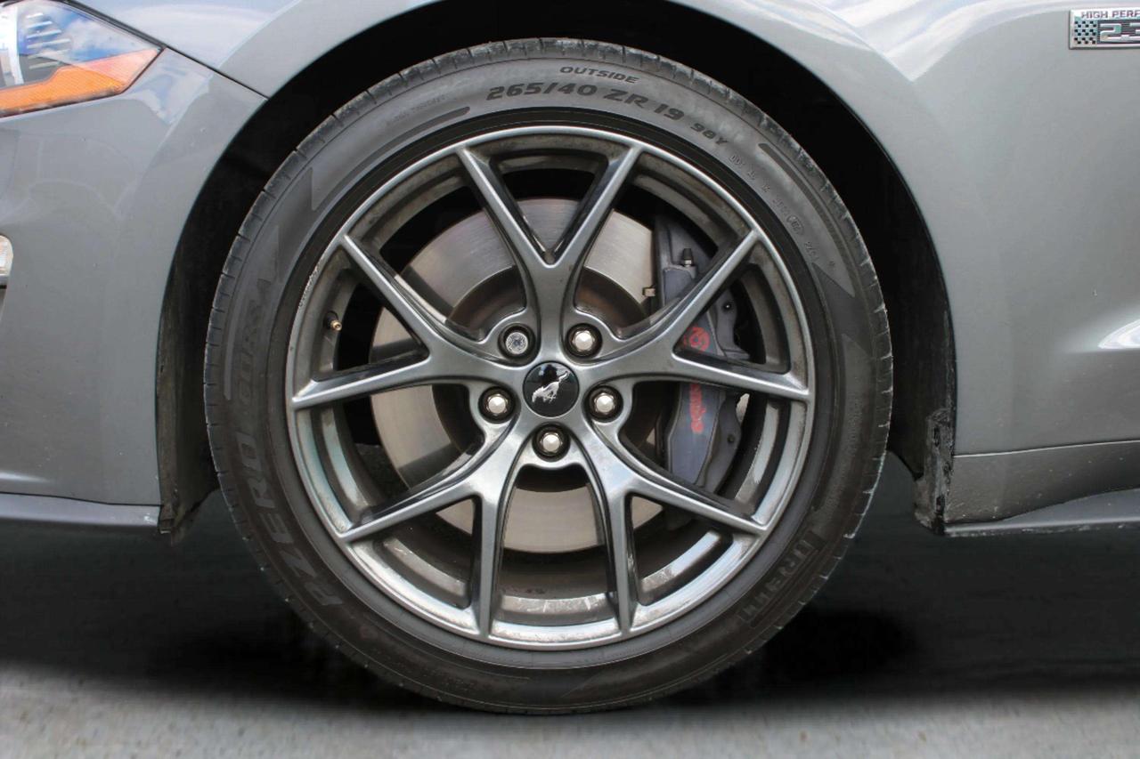 2021 Ford Mustang EcoBoost Photo