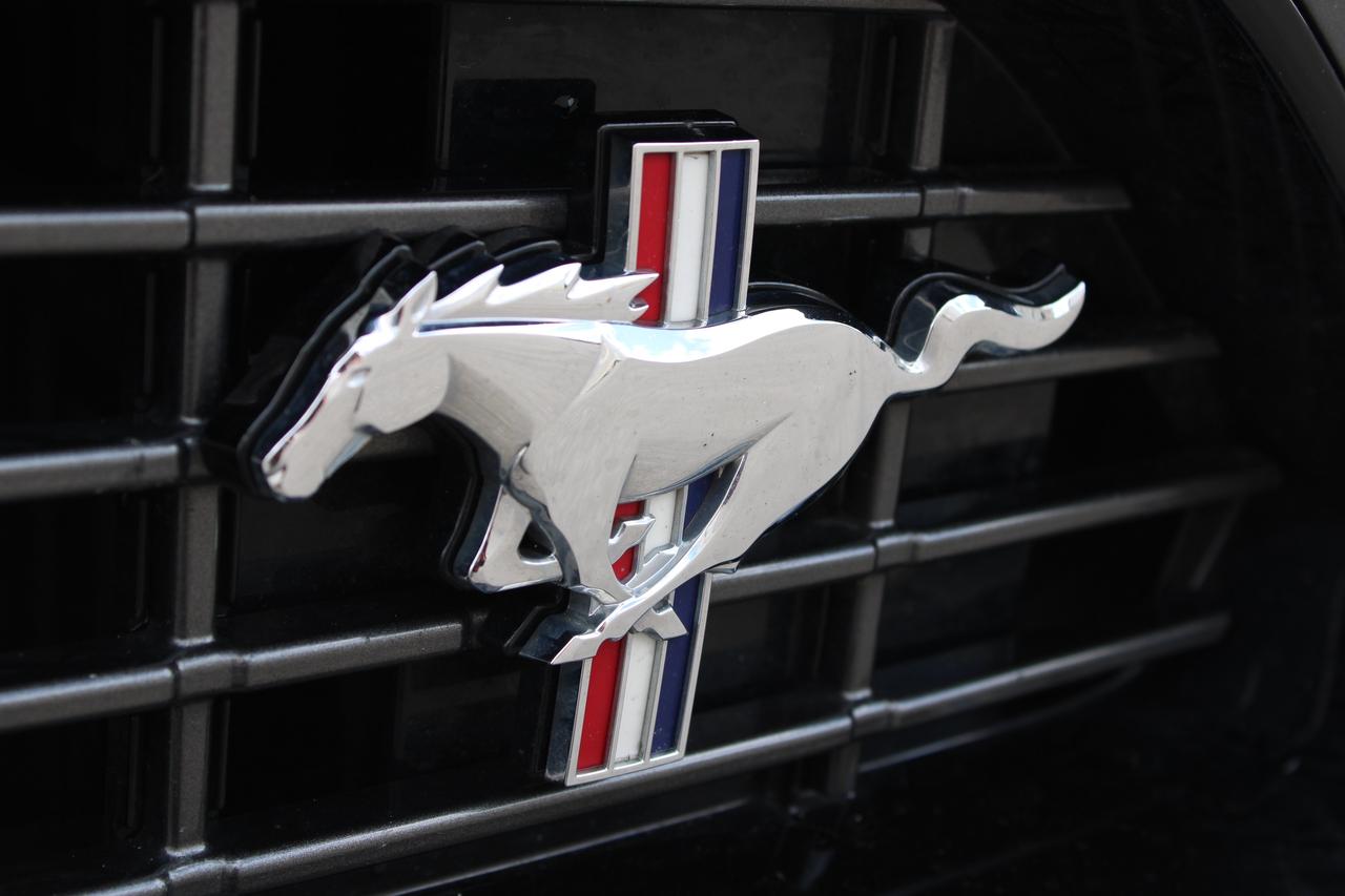 2021 Ford Mustang EcoBoost Photo