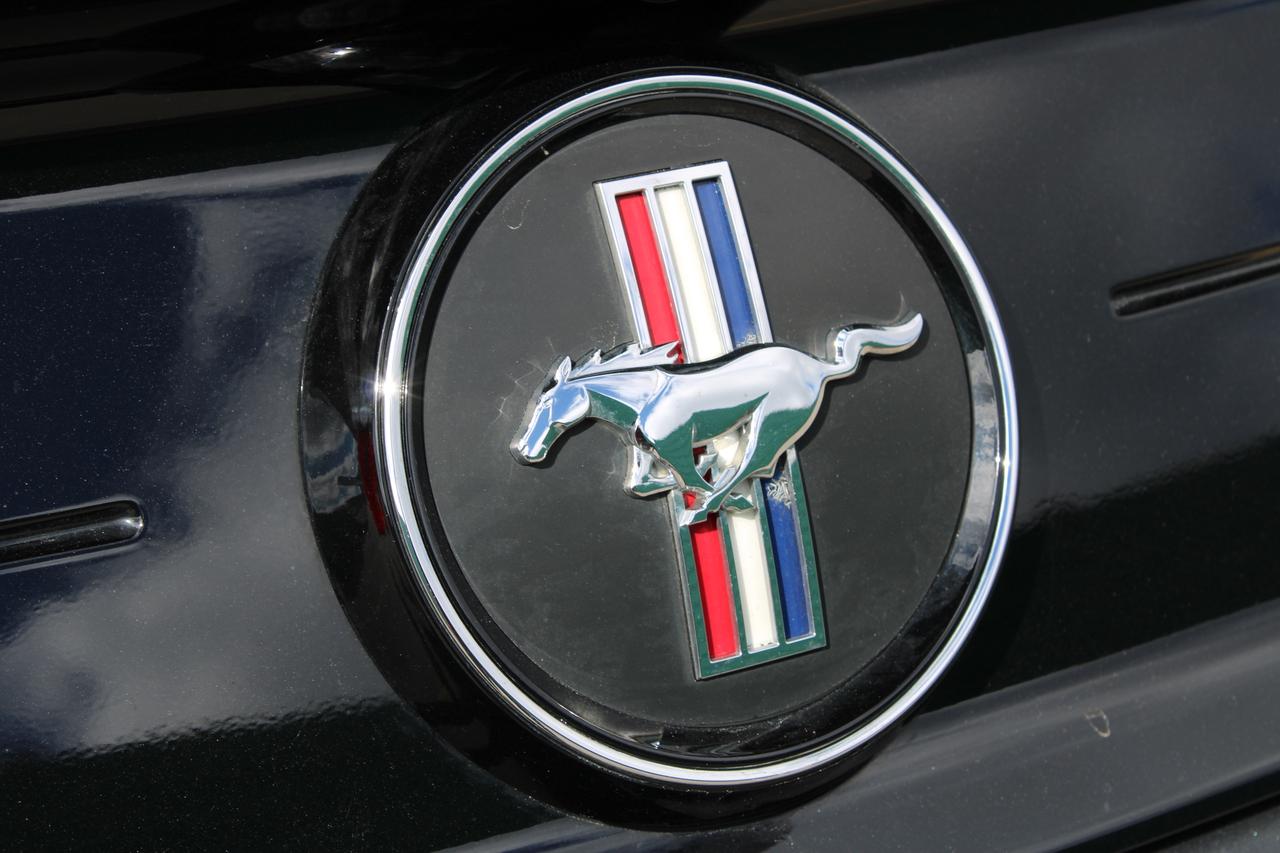 2021 Ford Mustang EcoBoost Photo