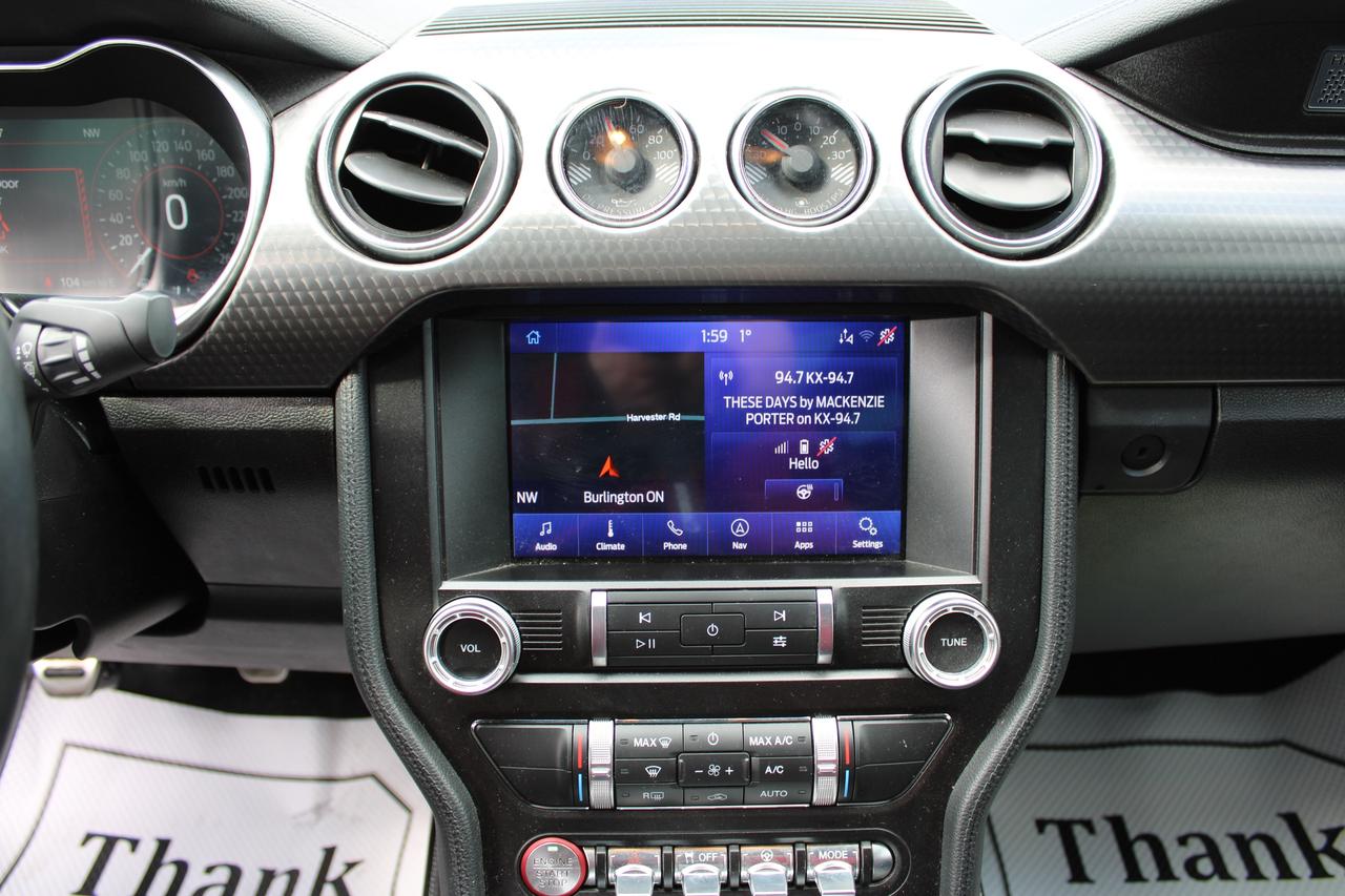 2021 Ford Mustang EcoBoost Photo