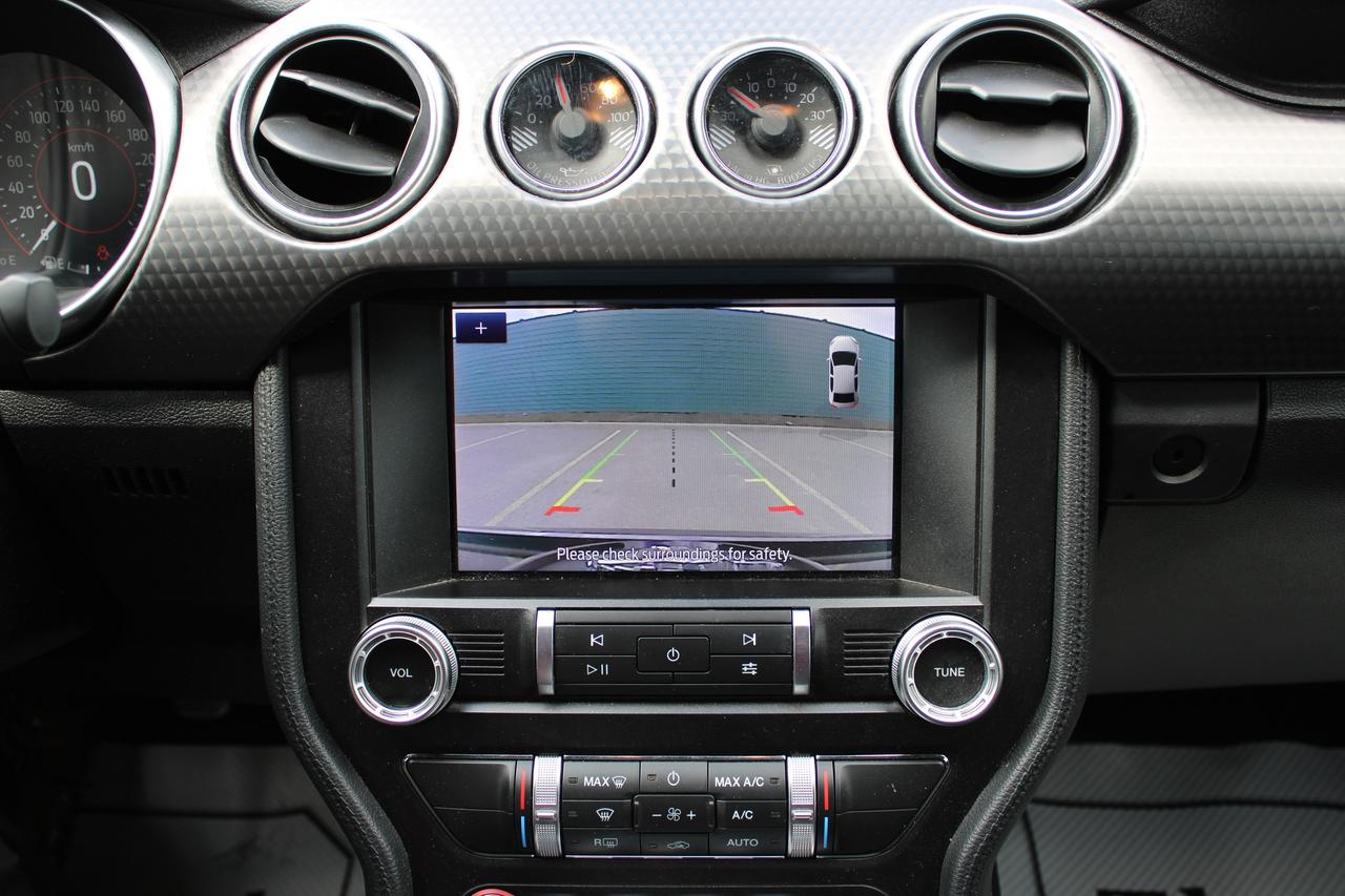 2021 Ford Mustang EcoBoost Photo