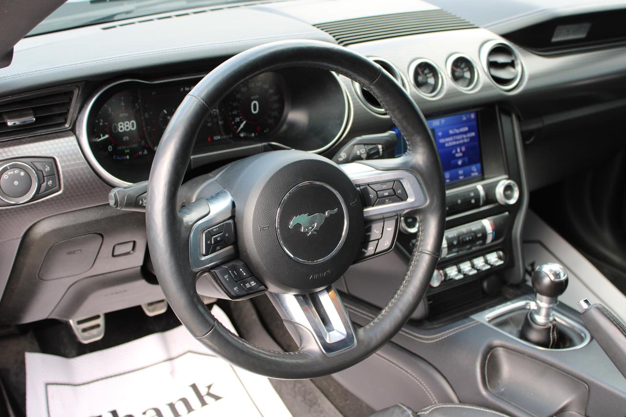 2021 Ford Mustang EcoBoost Photo