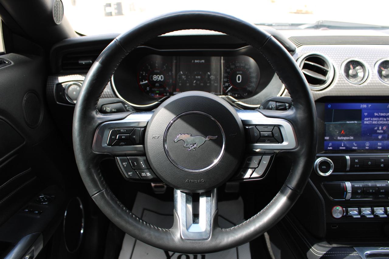 2021 Ford Mustang EcoBoost Photo