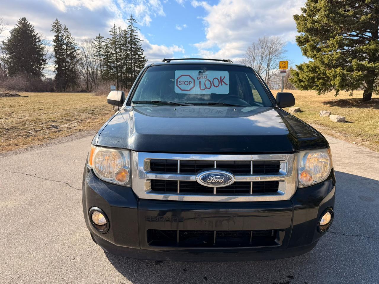 2010 Ford Escape XLT