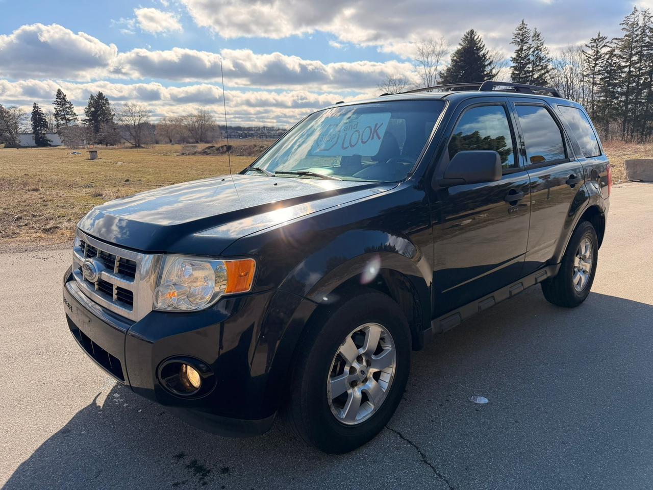 2010 Ford Escape XLT Photo