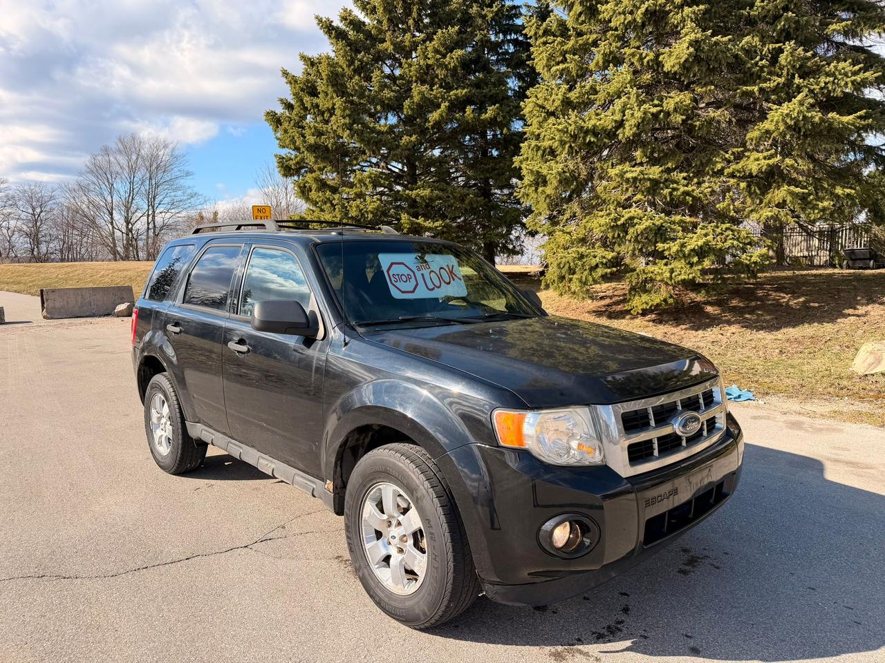 2010 Ford Escape XLT Photo