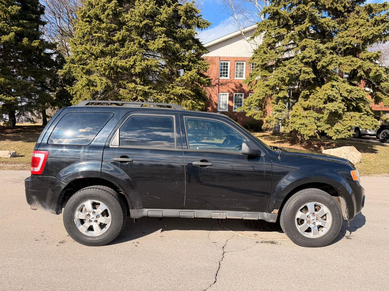 2010 Ford Escape XLT Photo