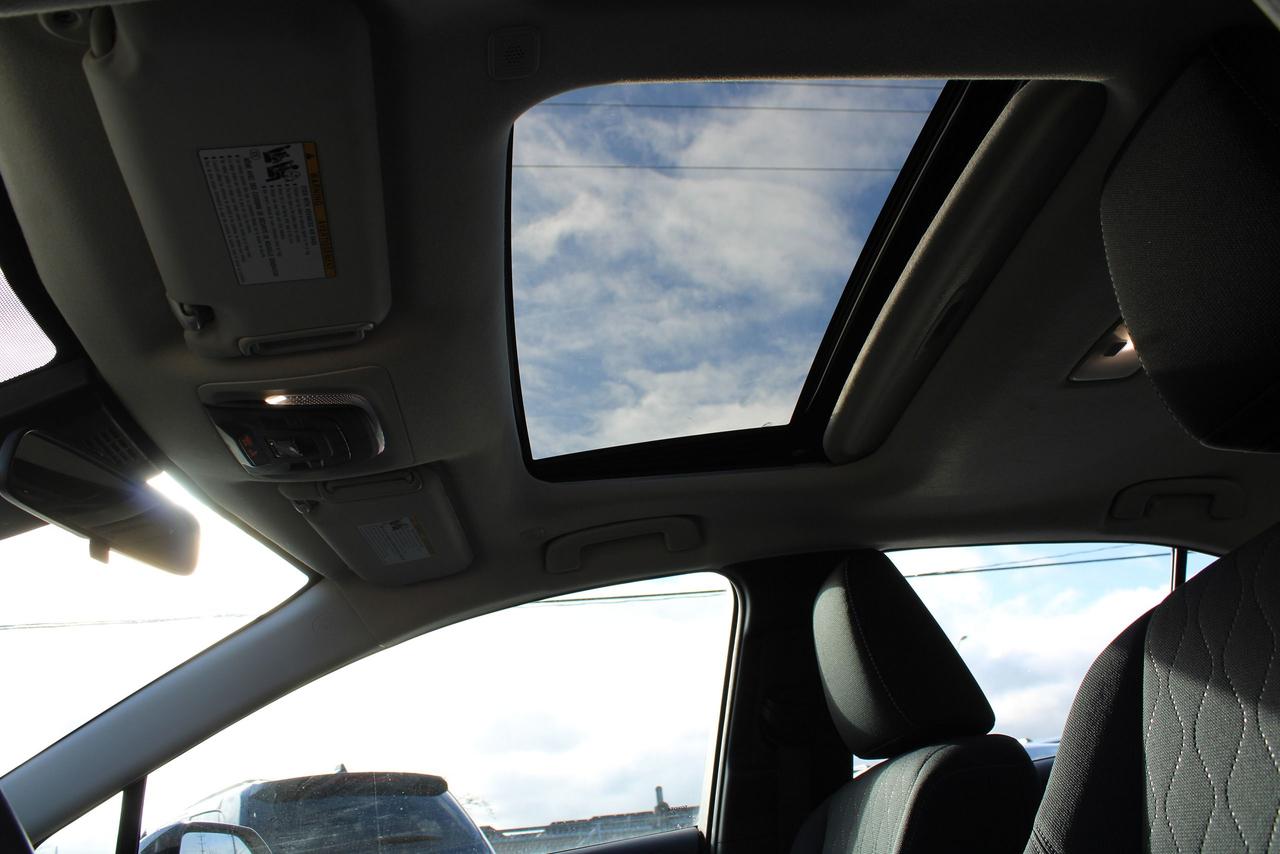 2024 Toyota Corolla LE Photo