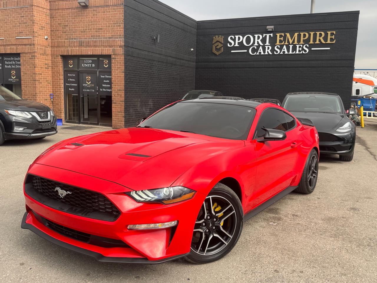 Used 2019 Ford Mustang EcoBoost Fastback for sale in Mississauga, ON