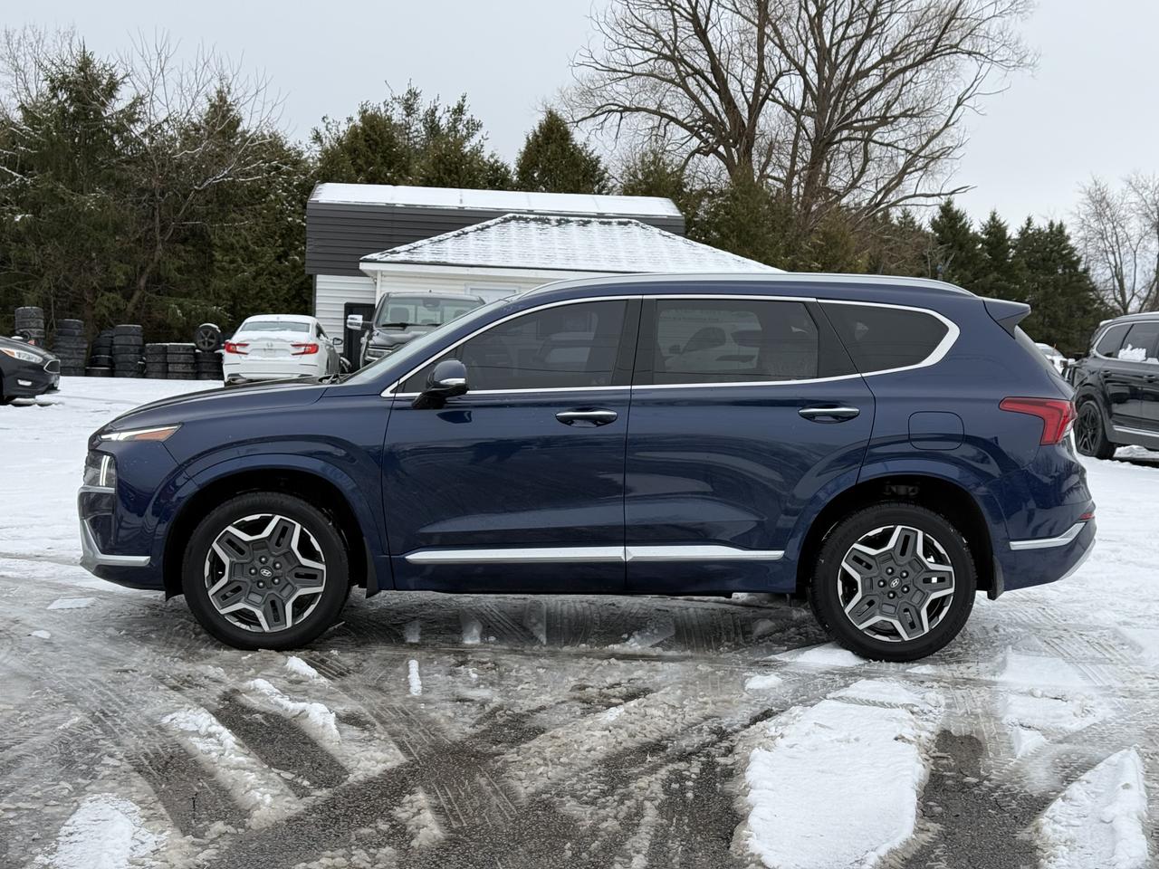 2021 Hyundai Santa Fe Ultimate Calligraphy Photo