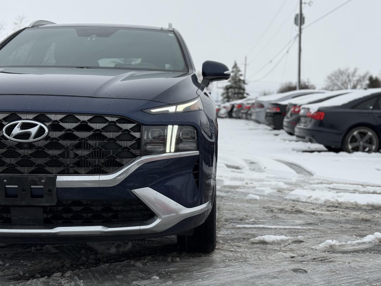 2021 Hyundai Santa Fe Ultimate Calligraphy Photo