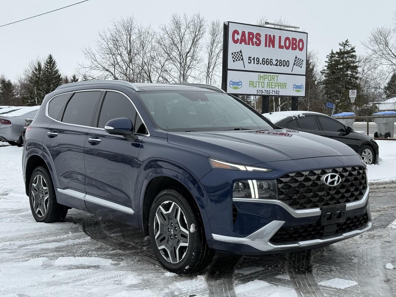 2021 Hyundai Santa Fe Ultimate Calligraphy Photo0