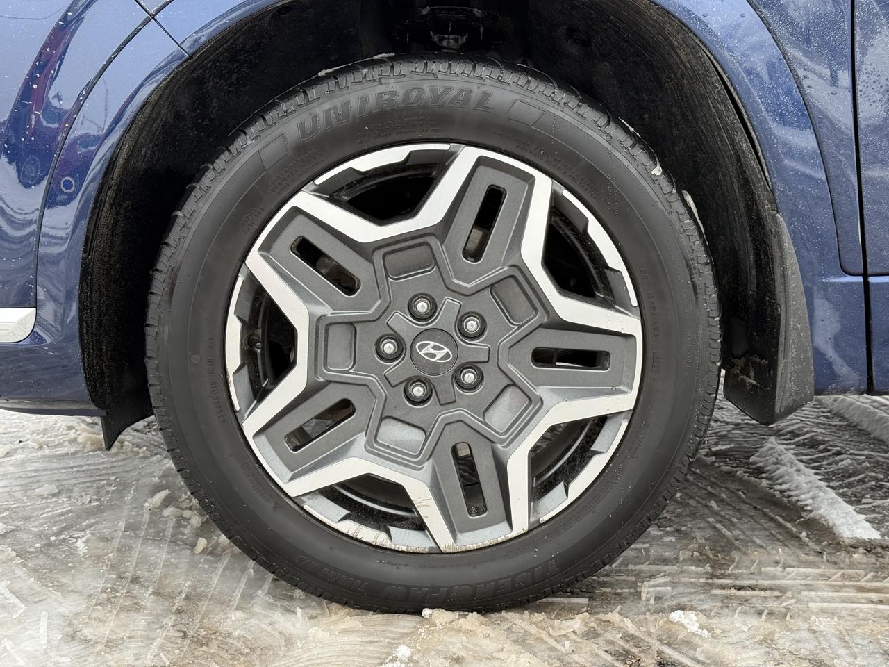 2021 Hyundai Santa Fe Ultimate Calligraphy Photo