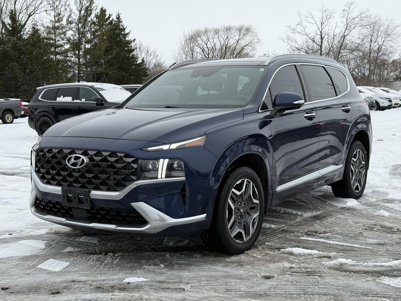 2021 Hyundai Santa Fe Ultimate Calligraphy Photo