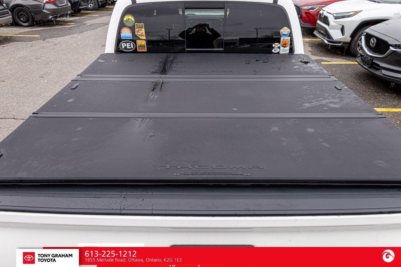 2023 Toyota Tacoma  Photo