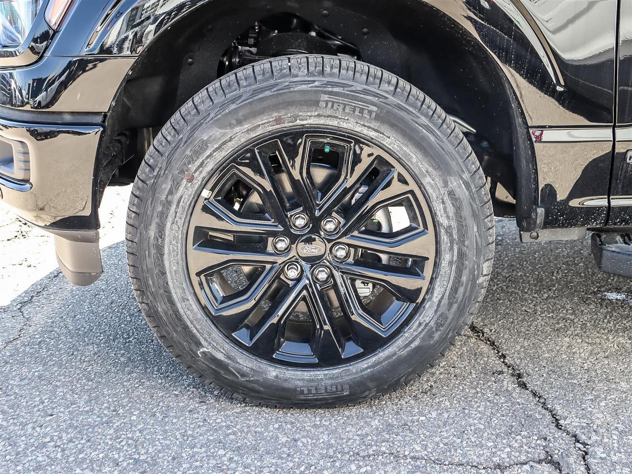 2026 Ford F-150 XLT Photo