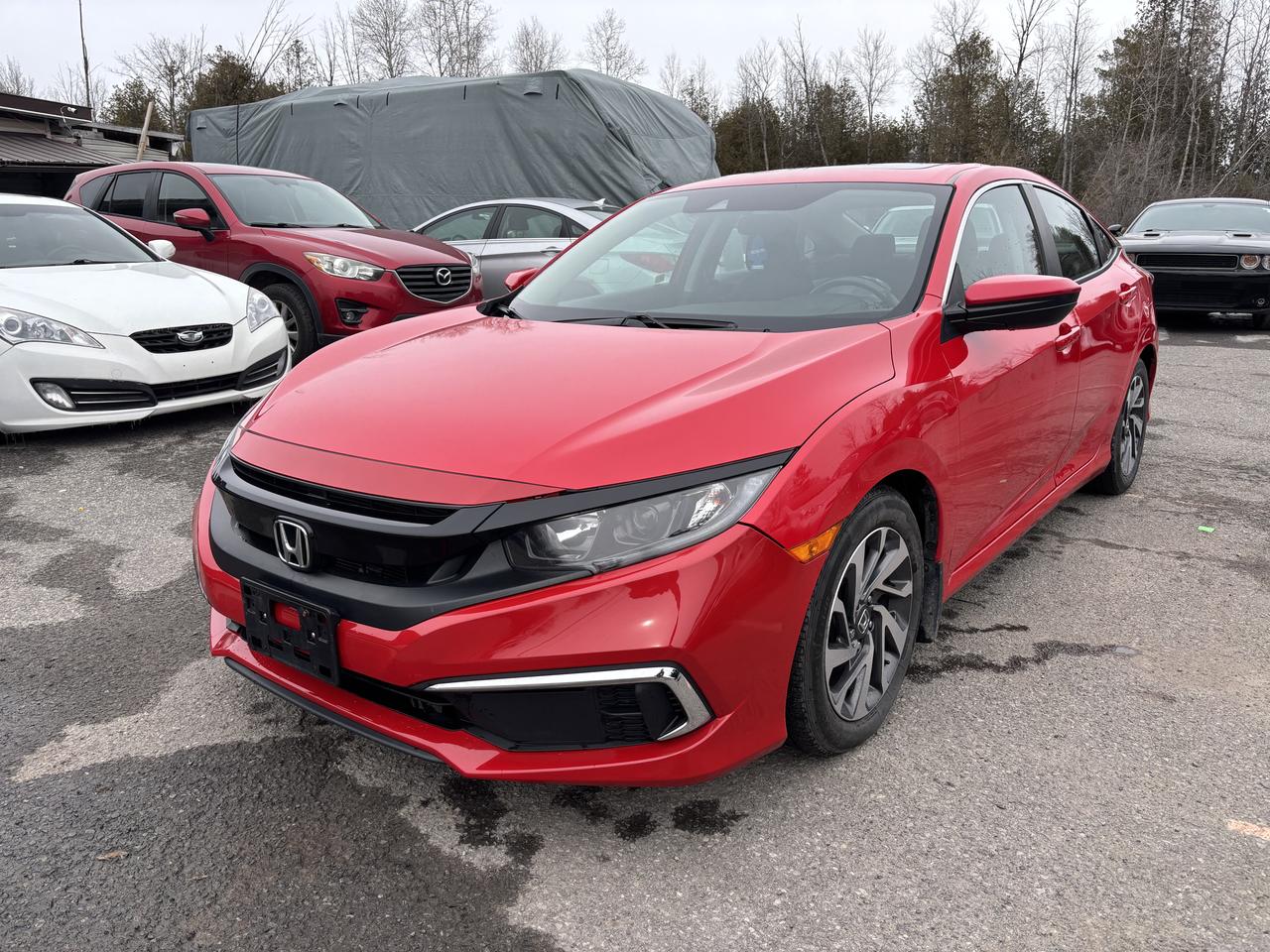 2019 Honda Civic EX Photo