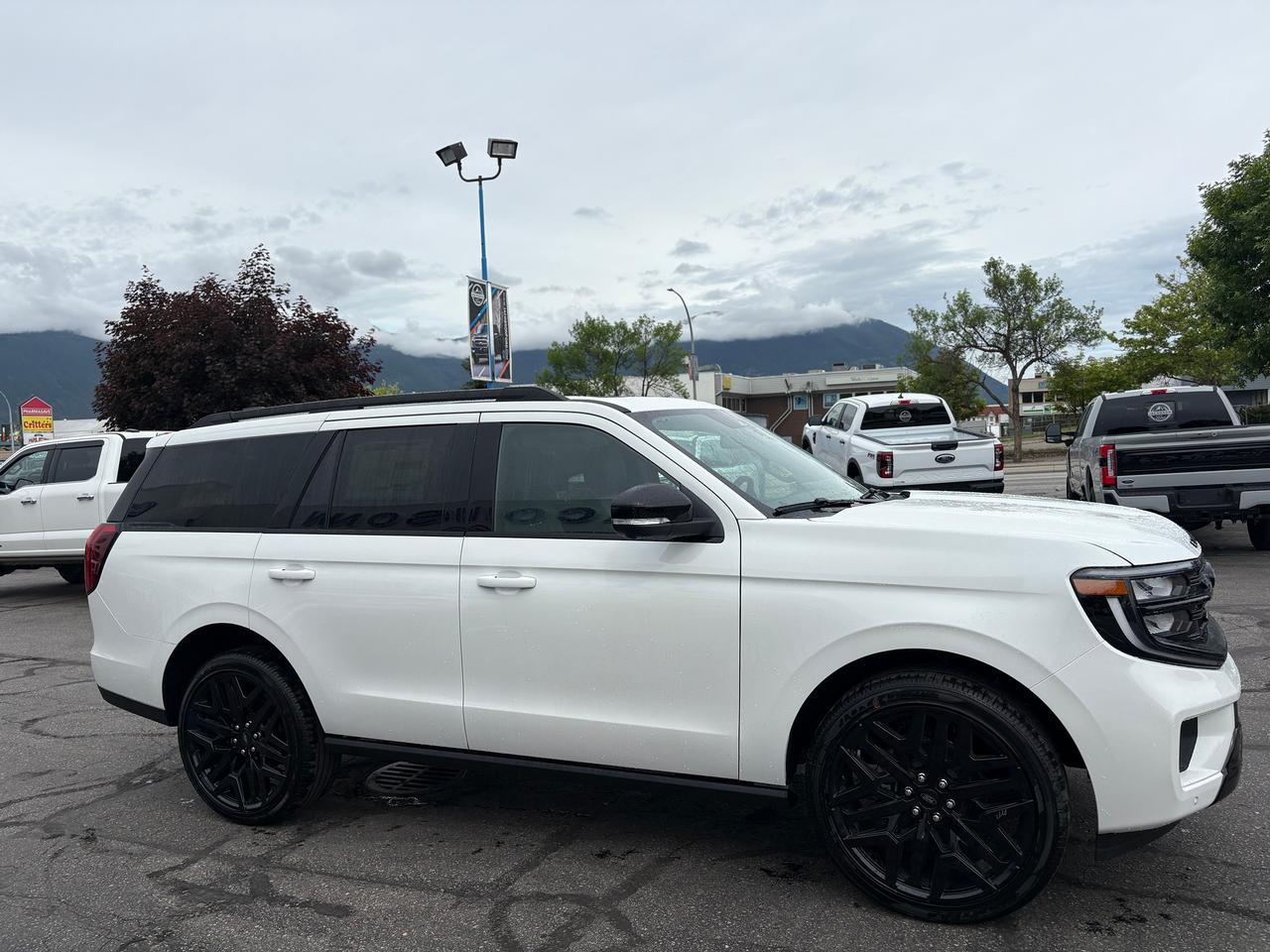 2026 Ford Expedition Platinum Photo4