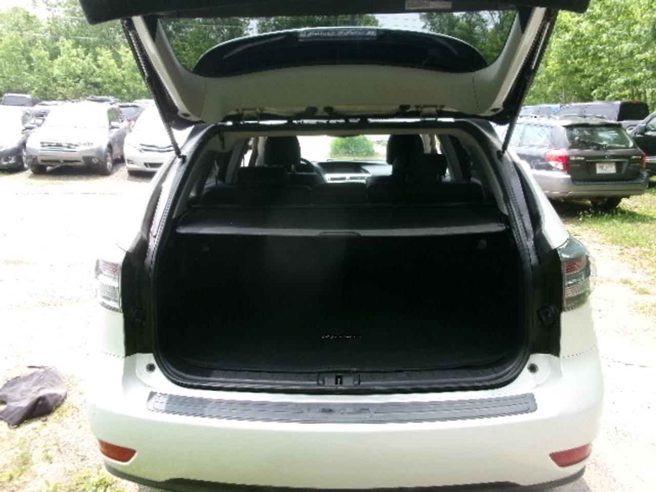 2010 Lexus RX Base Photo