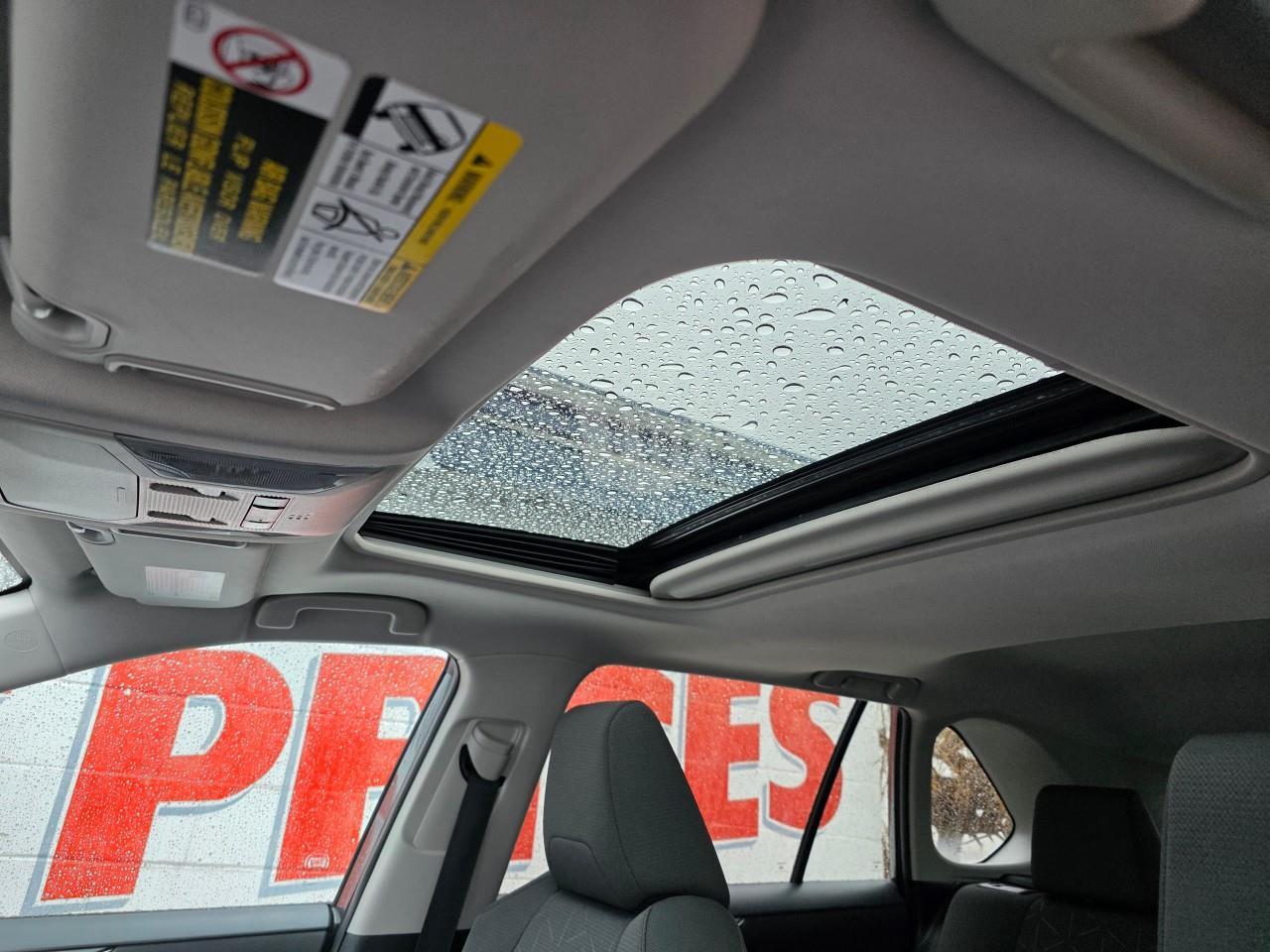 2021 Toyota RAV4 XLE 4dr All-wheel Drive Photo