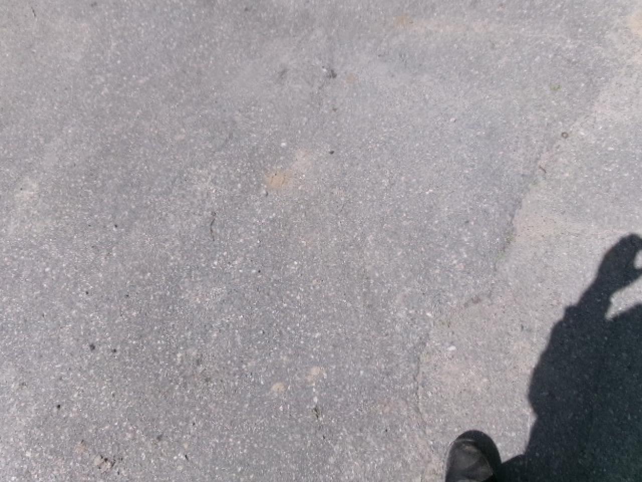 2012 Toyota Camry SE Photo