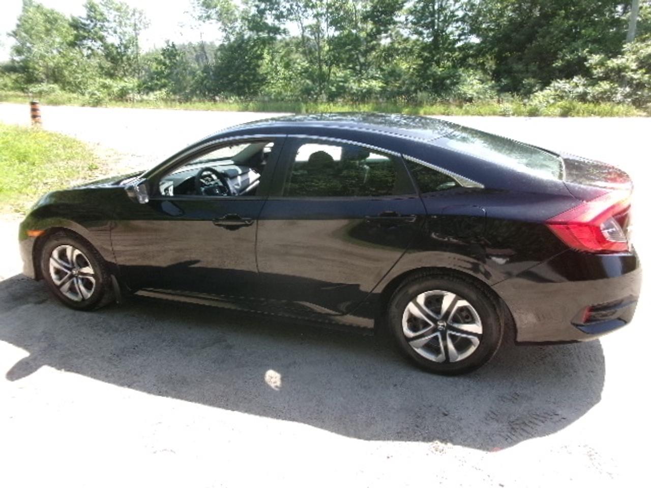 2017 Honda Civic LX Photo