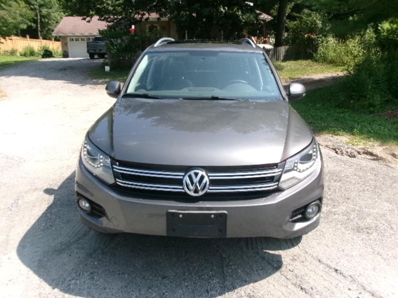 2013 Volkswagen Tiguan SEL Photo