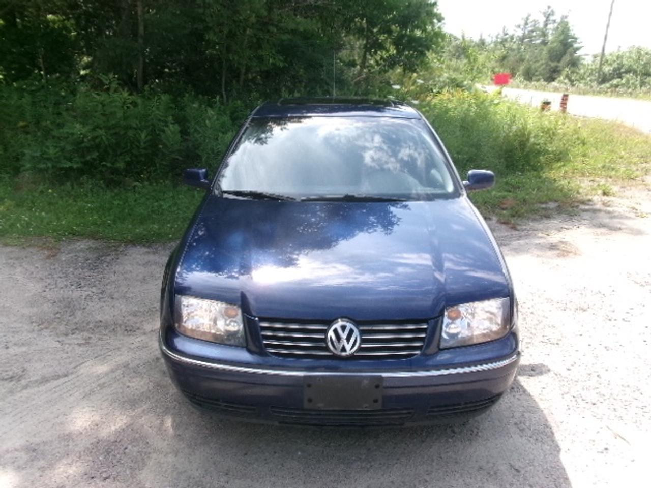 2007 Volkswagen Jetta GLX Photo