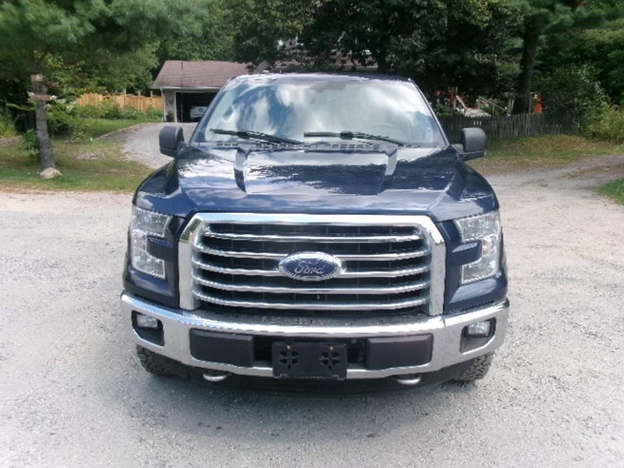 2015 Ford F-150 XLT Photo