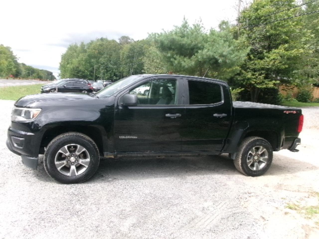 2016 Chevrolet Colorado Work Truck Photo